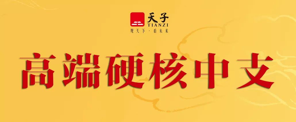 天子（中国心）怎么样？它为何能成为中支烟标杆性产品？